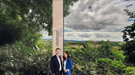 Vente Maison 4 pièces LUZINAY 38200