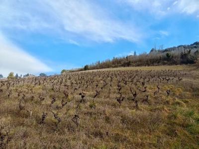 photo For sale Land ALBI 81