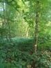 Vente Terrain Marle 02