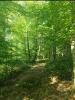 Annonce Vente Terrain Marle
