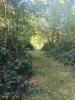 Acheter Terrain 6620 m2 Marle