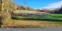 Annonce Vente Terrain
