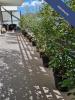 For sale Apartment Marseille-10eme-arrondissement  13010 70 m2 4 rooms