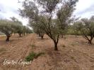 Vente Terrain Pezenas 34