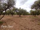 Annonce Vente Terrain Pezenas