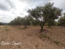 Acheter Terrain 7000 m2 Pezenas
