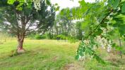 Land PONTONX-SUR-L'ADOUR 