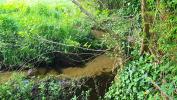Land PONTONX-SUR-L'ADOUR 