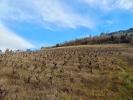 Land ALBI 