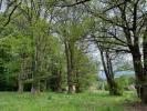 Vente Terrain Chamberet 19