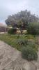 Acheter Maison 90 m2 Sanary-sur-mer