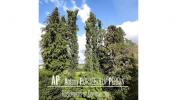 Vente Maison Moreac 56