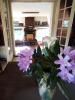 Acheter Maison Moreac Morbihan