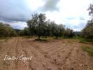 Land GABIAN 