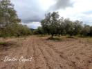 Land GABIAN 
