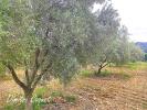 Land GABIAN 