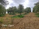 Land GABIAN 
