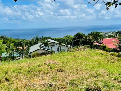 Vente Terrain LORRAIN  972