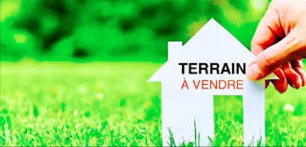 photo For sale Land SAUVE 33