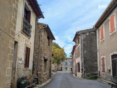 photo For sale House SAINT-PIERRE-DES-CHAMPS 11