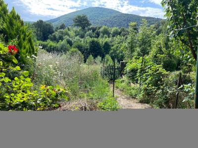 photo For sale House SAINT-ETIENNE-D'ALBAGNAN 34
