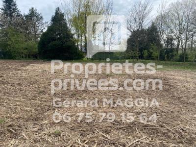 photo For sale Land MOLAC 56