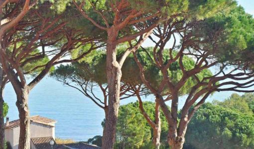 Rent for holidays Apartment SAINTE-MAXIME 
