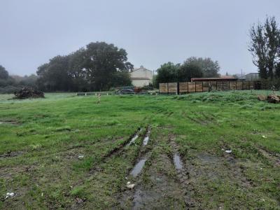 photo For sale Land SAINT-HILAIRE-DE-CHALEONS 44