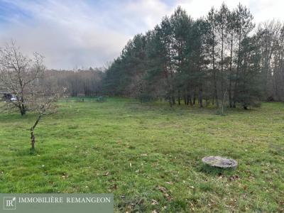 Vente Maison NEUVY-SUR-BARANGEON 