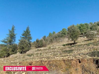 photo For sale Land VIGAN 30