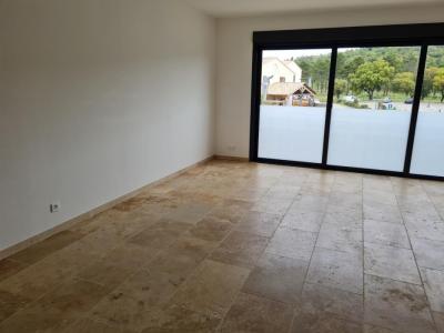Location Local commercial MOLE 83310