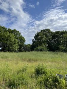 photo For sale Land PRIGNAC-ET-MARCAMPS 33