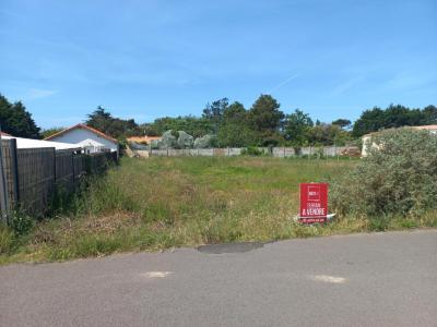 Vente Terrain PLAINE-SUR-MER  44