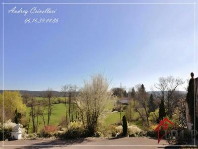 Vente Maison 10 pièces GRANDVILLERS 88600
