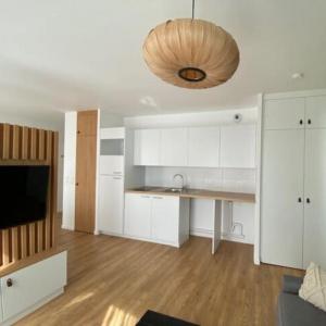 Location Appartement IVRY-SUR-SEINE 94200