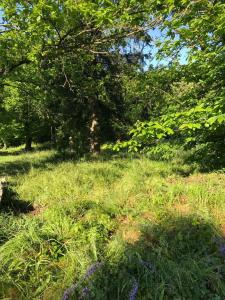 For sale Land SAINT-FLORENT-SUR-AUZONNET 20 MINUTES D'ALÈS ! 30