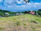 Acheter Terrain Lorrain Martinique