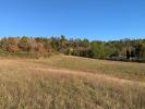 Annonce Vente Terrain Montoison