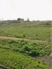Acheter Terrain 261 m2 Thou