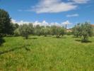 Vente Terrain Paulhan 34