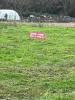 Land SAINT-CHRISTOPHE-EN-BRESSE 
