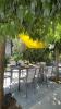 House SAINTE-MAXIME 