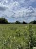 Acheter Maison 90 m2 Lande-de-fronsac