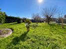 Vente Maison Ambares-et-lagrave 33440 4 pieces 85 m2