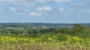 Acheter Terrain Haraucourt 78000 euros