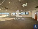 Annonce Location Bureau Milles