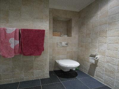 Location Appartement 2 pièces MANS 72100