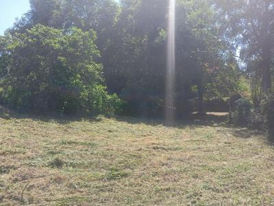 photo For sale Land QUIMPERLE 29