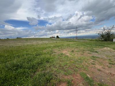 Vente Terrain MONTMELAS-SAINT-SORLIN  69