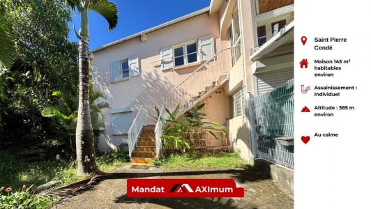 Vente Maison RAVINE-DES-CABRIS  974